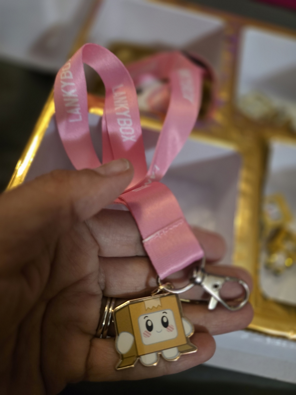 Lankybox Golden Mystery Box (Opened) - Characters